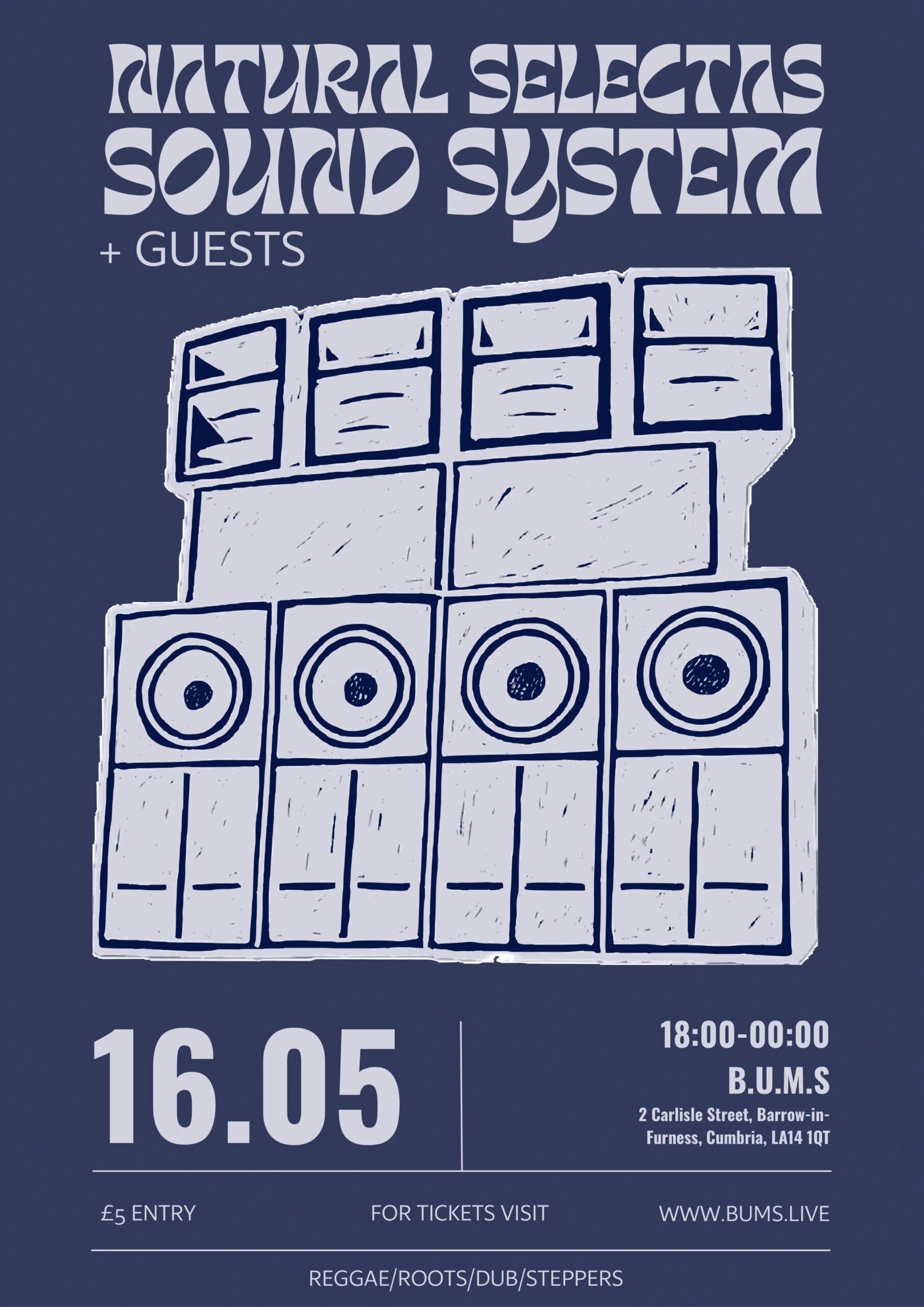 Natural Selectas Sound System